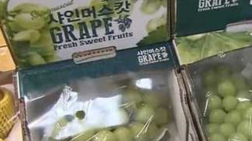 동남아에서 고가에 완판된다는 한국 과일 수출 역대 최고 기록